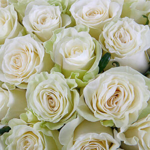Букет из 15 белых роз Доставка цветов в Новосибирске