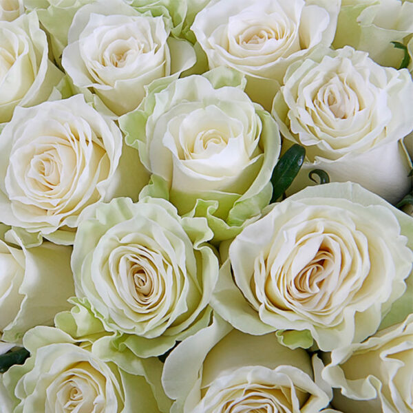 Букет из 15 белых роз Доставка цветов в Новосибирске 5