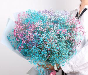 БУКЕТ ИЗ ЦВЕТНОЙ ГИПСОФИЛЫ «ОБЛАКО» Доставка цветов в Новосибирске