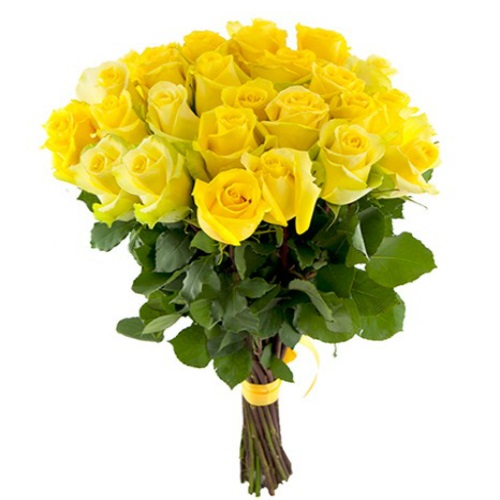 Роза желтая 50 см 1 шт Доставка цветов в Новосибирске 5