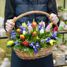 Корзина из тюльпанов и ирисов Доставка цветов в Новосибирске 5
