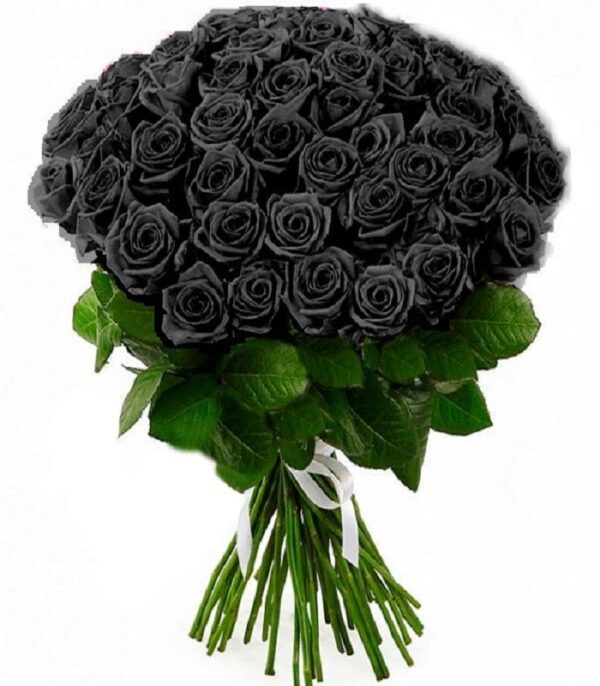Черная роза 50 см 1 шт Доставка цветов в Новосибирске 5