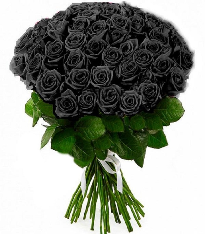 Купить цветы в Новосибиске, Черная роза 50 см 1 шт - Доставка цветов по  Новосибирску