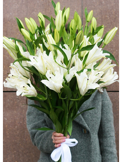 ЛИЛИЯ 7 ВЕТОК с лентой + БЕСПЛАТНАЯ ДОСТАВКА Доставка цветов в Новосибирске 5